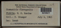 Image Associated With the Occurence